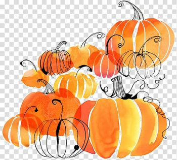 Orange pumpkin illustration lot, Pumpkin Watercolor painting Apple cider , watercolor pumpkin transparent background PNG clipart