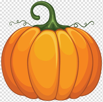 Orange pumpkin illustration, New Hampshire Pumpkin Festival , Large Pumpkin transparent background PNG clipart