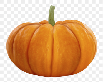 Orange pumpkin png sticker, transparent | Free PNG - rawpixel