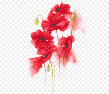 Orange, Red, Yellow Flower Watercolor painting - Hand-painted red flowers illustration 