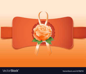 orange rose with frame orange rose with frame