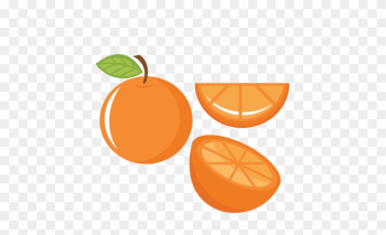 Orange Set Svg Cutting Files Fruit Svg Cut File Food - Cute Oranges Clipart