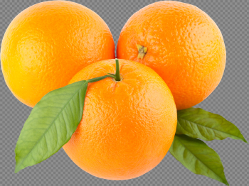 Orange Transparent Background PNG Orange Transparent Background PNG