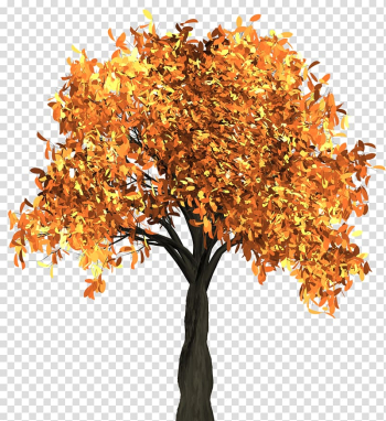 Orange tree, Autumn leaf color Tree, Autumn Tree transparent background PNG clipart Orange tree, Autumn leaf color Tree, Autumn Tree transparent background PNG clipart