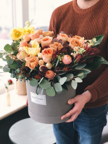 Orange Tulips in Gray Plant Pot Orange Tulips in Gray Plant Pot