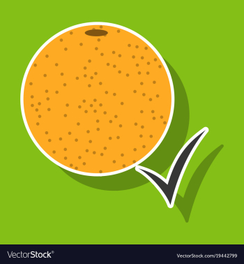 Orange whole of orange vector image Orange whole of orange vector image