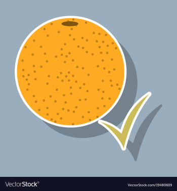 Orange whole of orange vector image Orange whole of orange vector image