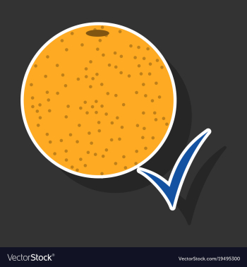 Orange whole of orange vector image Orange whole of orange vector image