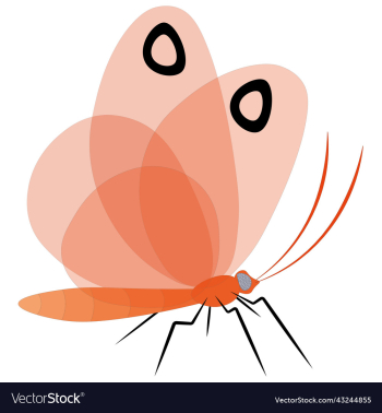 orange with black dots butterfly orange with black dots butterfly