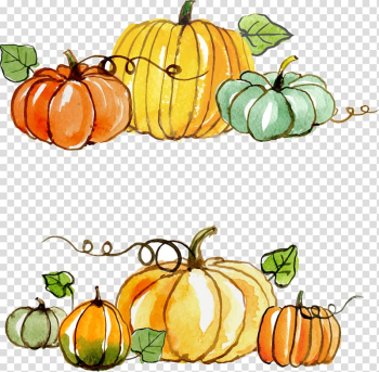 Orange, yellow, and green pumpkins illustration, Thanksgiving Gratitude Gift , Thanksgiving pumpkin painted material transparent background PNG clipart