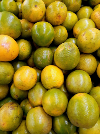 Oranges Oranges