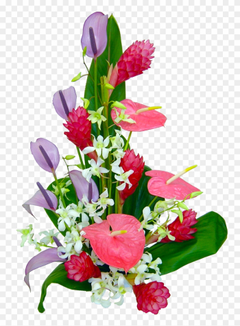 Orchid Flower Clipart - Flower