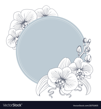 Orchid phalaenopsis flower branch bouquet wreath Vector Image