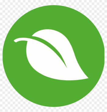 Organic And Natural Products - Surveillance Camera Icon