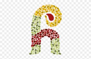 Organic Food Organic Food