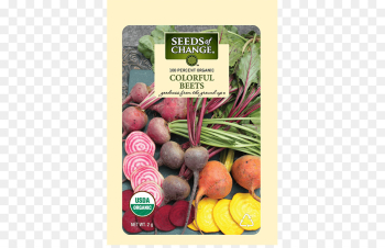 Organic food Common beet Vegetable Seed - vegetable png download ...