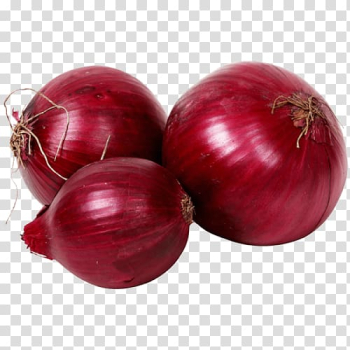 Organic food Red onion Vegetable Salsa, vegetable transparent background PNG clipart Organic food Red onion Vegetable Salsa, vegetable transparent background PNG clipart