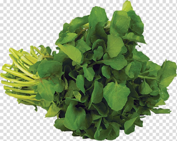 Organic food Watercress Parsley Sunac Natural Market, Sandwich Online Delivey NYC Leaf vegetable, cabbage transparent background PNG clipart