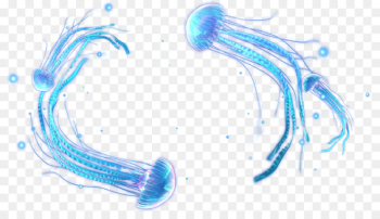 Organism Marine biology Water - jellyfish 