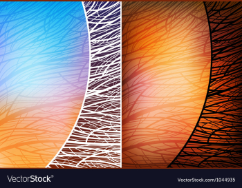 Ornamented backgrounds vector image Ornamented backgrounds vector image