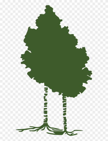 Our Process - Tree Our Process - Tree