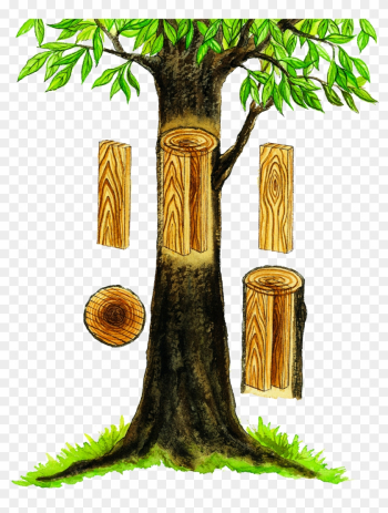 Our Solid Hardwood Pieces Are Made Up Of Many Pieces - Our Solid Hardwood Pieces Are Made Up Of Many Pieces