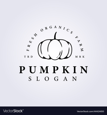 outline pumpkin minimal logo outline pumpkin minimal logo