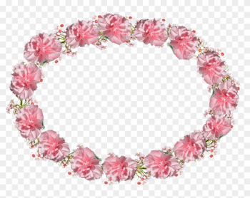 Oval, Frame, Pink, Carnation - Oval Frame Pink