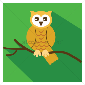 Owl Owl