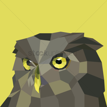 Owl Owl