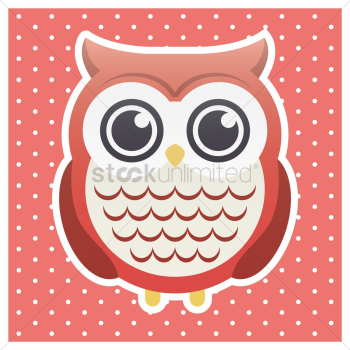 Owl Owl