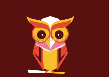 Owl Owl