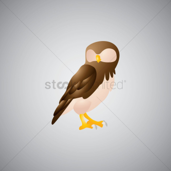 Owl Owl