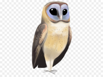 Owl Beak - owl Owl Beak - owl