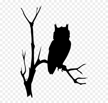 Owl Branches Tree Dead Eerie Watching Nature - Owl On Branch Silhouette