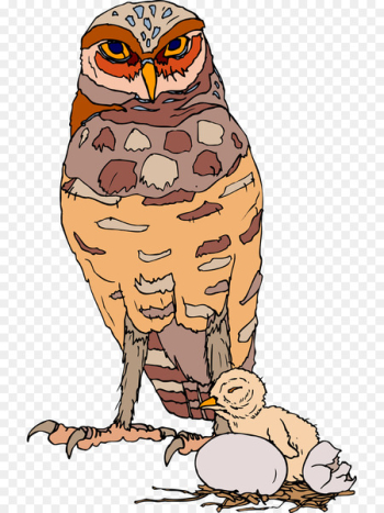Owl Clip art Bird Beak Illustration - owl Owl Clip art Bird Beak Illustration - owl