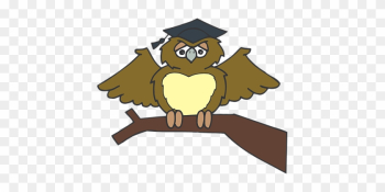 Owl Graduate Sitting Tree Branch Brown Wea - Owl Graduation Clip Art Png Owl Graduate Sitting Tree Branch Brown Wea - Owl Graduation Clip Art Png
