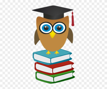 Owl Graduation 2019 Owl Graduation 2019