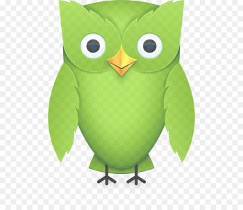 owl green cartoon bird bird of prey owl green cartoon bird bird of prey