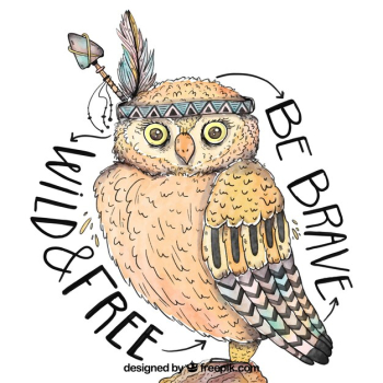 Owl hand drawn in ethnic style Owl hand drawn in ethnic style