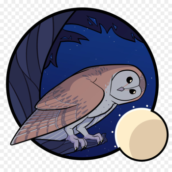 Owl, Platypus, Animal, Bird, Cartoon PNG Owl, Platypus, Animal, Bird, Cartoon PNG