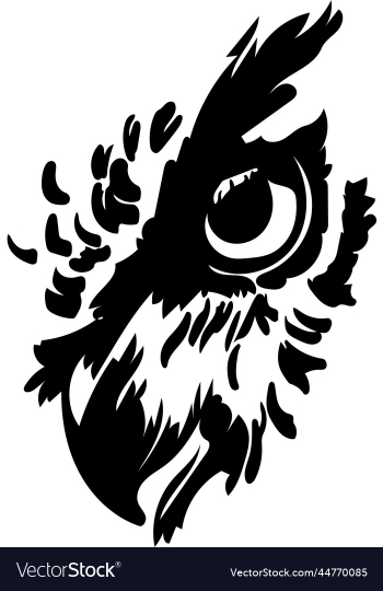 owl portrait drawing owl portrait drawing