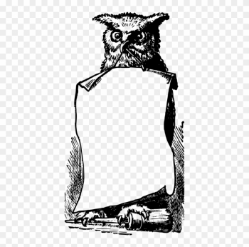 Owl Professor Minerva Mcgonagall Harry Potter Drawing - Harry Potter Border Clipart