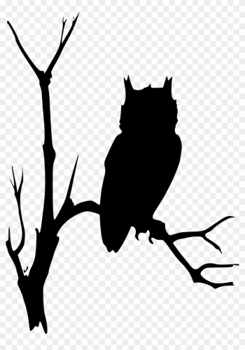 Owl Silhouette On Branch