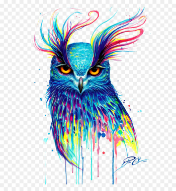 Owl T-shirt Bird Drawing Painting - owl Owl T-shirt Bird Drawing Painting - owl
