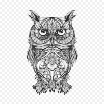 Owl Tattoo Drawing Body art Sketch - Tattoo Owl Tattoo Drawing Body art Sketch - Tattoo