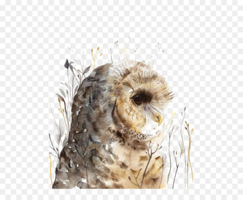 Owl Watercolor painting Art - Watercolor painted owl Owl Watercolor painting Art - Watercolor painted owl