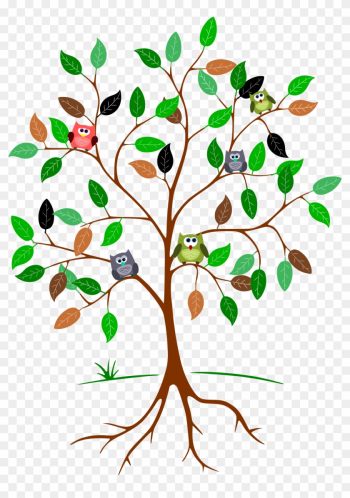 Owls In A Tree - Colourful Tree Of Life Png Owls In A Tree - Colourful Tree Of Life Png