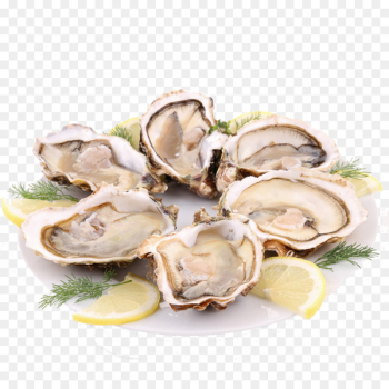 Oyster Caridea French cuisine Barbecue Seafood - Barbecue clams 