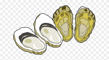 Oyster Clip Art - Oyster Clipart Oyster Clip Art - Oyster Clipart